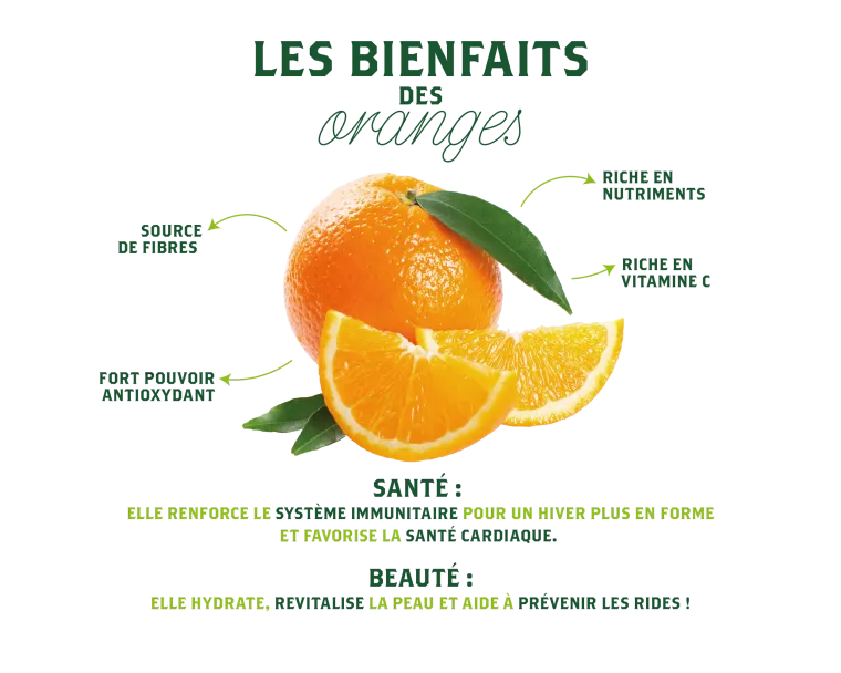 Korsischer Bio-Orangenproduzent - Verkauf von korsischer Bio-Nabelorange