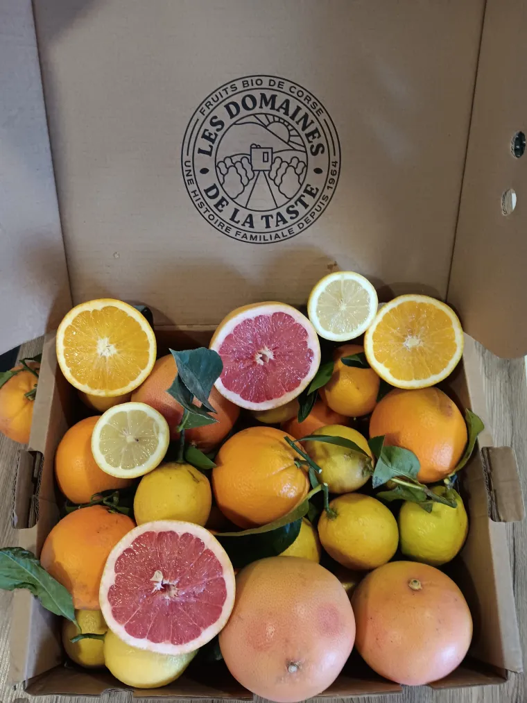 Organic Corsican clementines PGI | Producer of organic clementines from Corsica